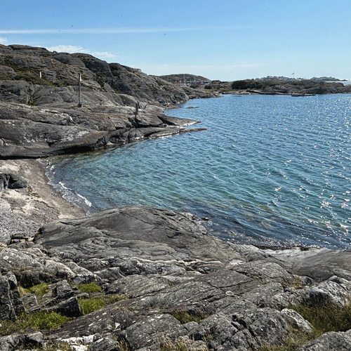 Dyrön